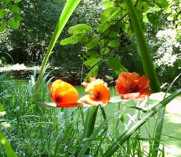 Hotel L'hostreiere 3*